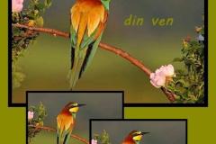 592